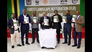Project Launch  IKI&ndash;Forest Landscape Restoration FLR Implementation Hub