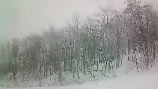 Snow fog