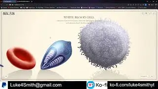 A Cool Science Lesson: Size Of Life