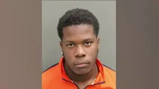 Fight leads to students arrests