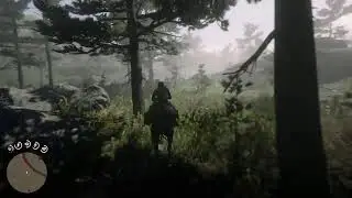 RED DEAD REDEMPTION 2 HUNTING LEGENDARY ANIMALS GAMEPLAY WALKTHROUGH PS4