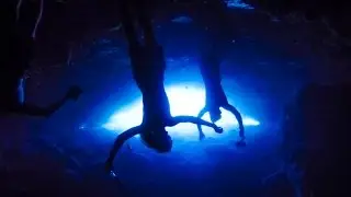 Cave Diving With Massive Sea Turtles | Hawaii