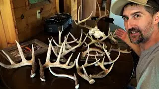 Shed Hunting Pennsylvania Part 3 - MORE SHEDS Found! BEST WHITETAIL BUCK SHED SEASON EVER! 2023 LWO
