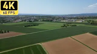 Drone Flight near Wiesbaden-Bierstadt, Germany | 4K 60fps | DJI Mini 3 Pro