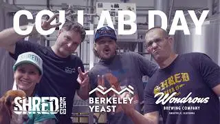 Collab Day: Shred Beer Co., Wondrous Brewing Co. and Berkeley Yeast