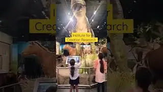 ICR Discovery Center | Dallas, TX #discovery #museum #texas #creation #shorts