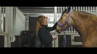 Equestrian Stabling by IAE