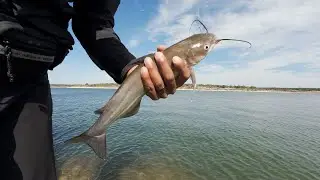 Magical Lake Fishing at Lake Georgetown, TX