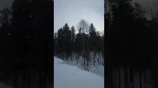 #fannyvideo #morning #snow #forest #noise #respect #sounds
