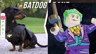 Batdog Vs The Joker ￼