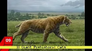 10 Giant Prehistoric Cats