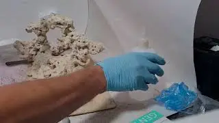 Aquascaping Marine Tank with Marco Rock
