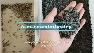 Nut Color Sorter&Sorting Machine: AI Vision System for Almonds, Cashews, Pistachios Quality Grading