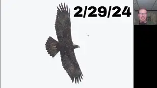 [0] Introduction to the Braddock Bay Hawk Watch 2024 Season (plus a Golden Eagle!), 2/29/24