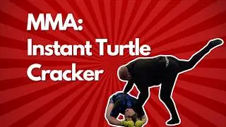 MMA: Pry Open the Turtle