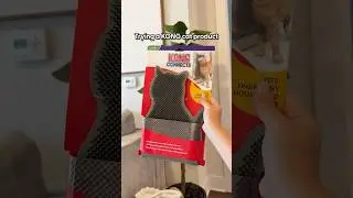 Does This Cat Scratcher Really Work? | The Pack