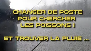 Une pêche de printemps au feeder en Saône #feeder #poisson #bream