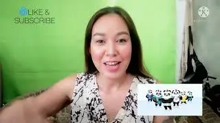 Introducing #PunkPanda App