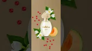 2024 MUST-HAVE FRAGRANCES FOR WOMEN!