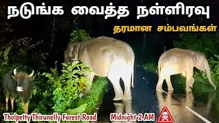 நடுக்காட்டில் நள்ளிரவில் அடைமழையில் நடுங்க வைத்த சம்பவங்கள்🐘 Dangerous Tholpetty Thirunelly Forest
