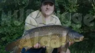 Team Flash-Baits