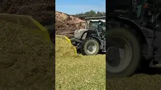 Fendt series 9 pushing Corn silage up the pile.