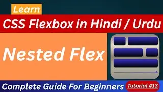 CSS Flexbox Nested Flex Tutorial in Hindi / Urdu