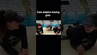 Cute dolphin kissing girls