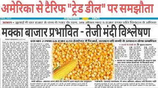 मक्का किसानों के लिए खुशखबरी मक्का निर्यात को मंजूरी ! Makka mandi bhav, Makka update duniy