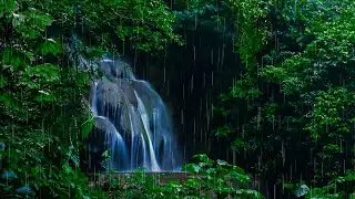 Heavy Rainstorm & Relaxing Forest Waterfall | Water & Rain Sounds to Sleep to!