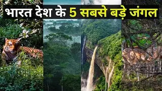 भारत देश के 5 सबसे बड़े जंगल || Top 5 Largest Forest Area In India State Wise
