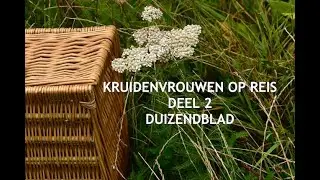 2. KRUIDENVROUWEN OP REIS - DUIZENDBLAD