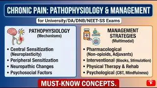 Chronic Pain Pathophysiology and Management