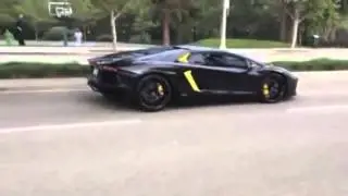 Guy throws rock at Lamborghini Aventador! 