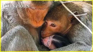 Unbelievablee....! Orphan Jonna r/evokes baby Saket's n!pplee to l!ckingg, While Sami authorize