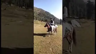 آزاد کشمیر کا بلند ترین سیاحتی مقام کٹن گلی نیلم ویلی
