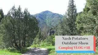 Dispersed Camping Sites in Logan Canyon, Utah