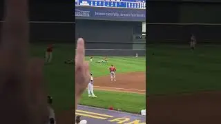 Security Tackles Fan Who Invaded Baseball Field