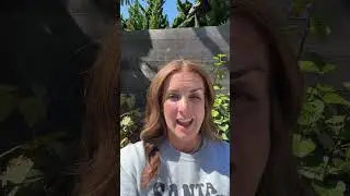 Spring Real Estate Market Insights with Santa Cruz Compass Realtor Maya Crelan Ray