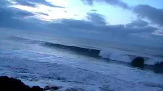 Dawnie Gower Surf