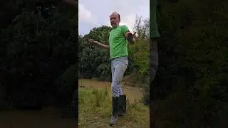 Differing Land Prices #permaculture #land #remote #information #adventure #ideas #motivation #cat