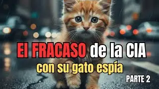 CIA FAILURE with its spy cat | Part 2 🕵️