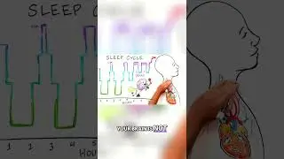 Unlock Your Brain's Power: Idle Time & Emotional Processing #shorts