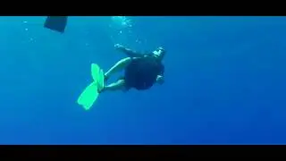 Hawaii : Untitled