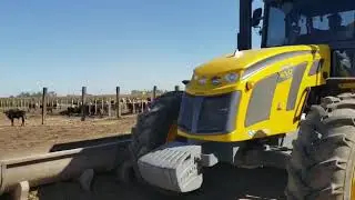 Tractor Pauny en Acci&oacute;n. Producto Entregado por Cignoli Hnos