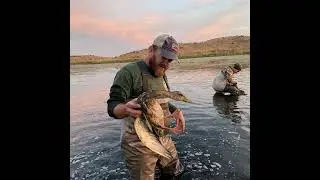Duck banding in Washington