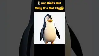 🐧 Why Penguins Can&rsquo;t Fly but Swim So Fast? | Tamil Wildlife Facts  Amazing Ocean Bird Secrets#Shorts