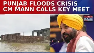 Punjab Flood Fury: CM Bhagwant Mann To Hold Key Cabinet Meeting Amid Rising Crisis| Breaking