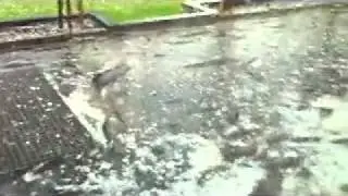 onweer 20110628