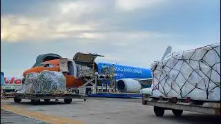 loading cargo myindo airlines.